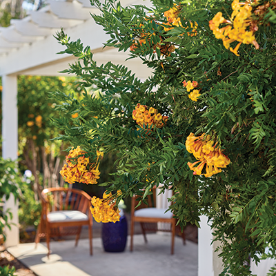 Senior Communities Unite to Support Displaced Seniors Senior Communities Unite to Support Displaced Seniors