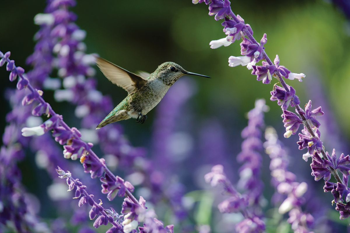 Solo Aging Series: Session Three - From Grief to Growth